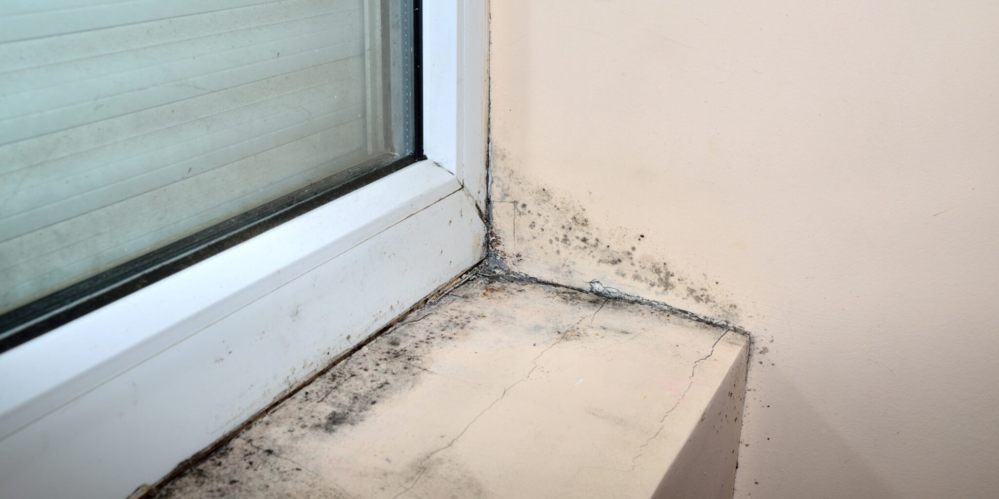 Schimmel in huis voorkomen oplossingen & kosten [+ Tips]